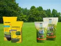 Trawa na suche tereny, idealna na boiska i do ogrodu. Mieszanki Barenbrug i Agro Land zapewnią piękny, gęsty trawnik.