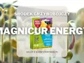 Młode rośliny w otoczeniu opakowania środka grzybobójczego Magnicur Energy, który chroni je przed chorobami.