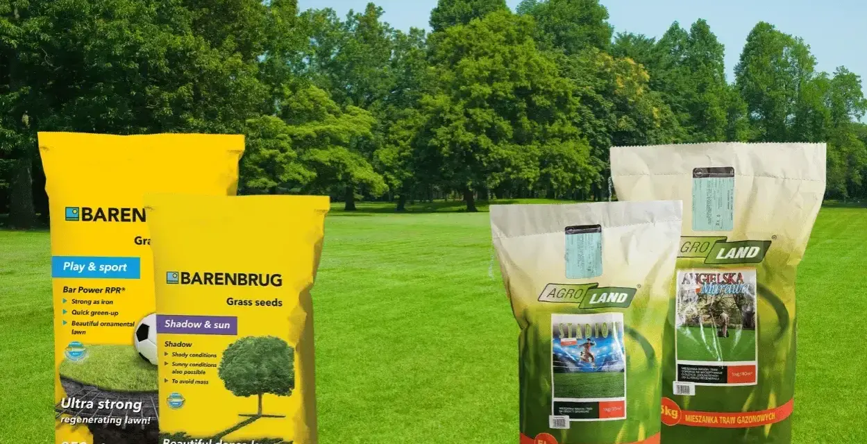 Trawa na suche tereny, idealna na boiska i do ogrodu. Mieszanki Barenbrug i Agro Land zapewnią piękny, gęsty trawnik.