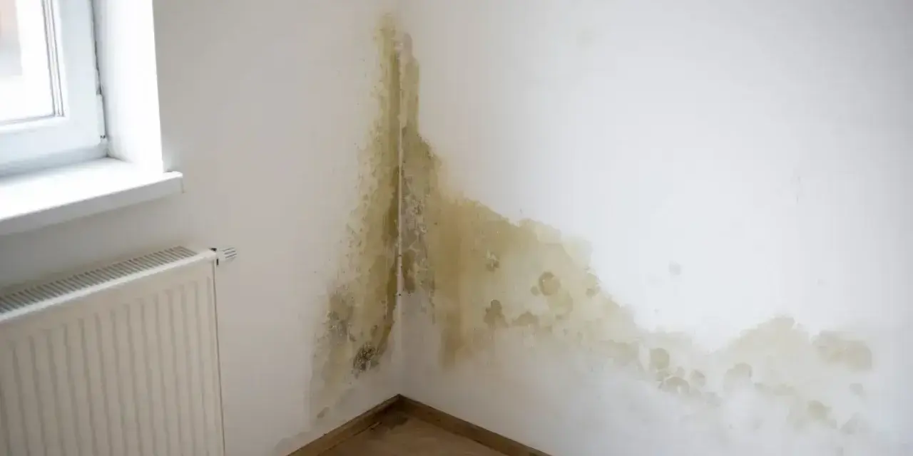 Pleśń na ścianie w rogu pokoju, przy oknie i grzejniku, świadczy o przekroczeniu punktu rosy.