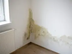 Pleśń na ścianie w rogu pokoju, przy oknie i grzejniku, świadczy o przekroczeniu punktu rosy.