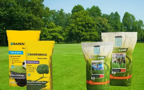 Trawa na suche tereny, idealna na boiska i do ogrodu. Mieszanki Barenbrug i Agro Land zapewnią piękny, gęsty trawnik.