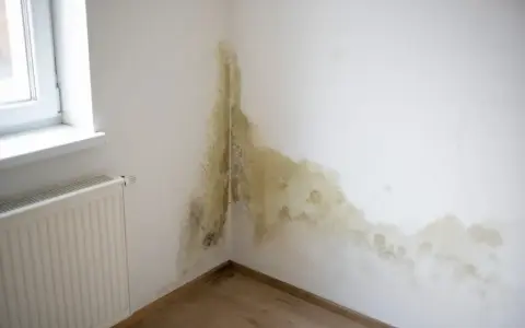 Pleśń na ścianie w rogu pokoju, przy oknie i grzejniku, świadczy o przekroczeniu punktu rosy.