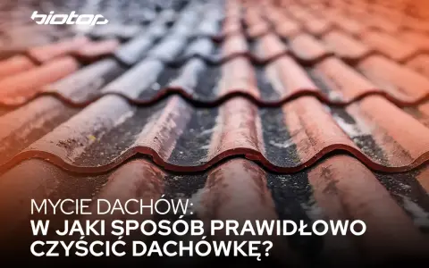Zbliżenie na dachówki po myciu. Tekst: "Mycie dachów: W jaki sposób prawidłowo czyścić dachówkę?".