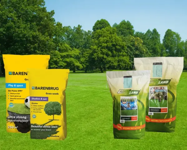 Trawa na suche tereny, idealna na boiska i do ogrodu. Mieszanki Barenbrug i Agro Land zapewnią piękny, gęsty trawnik.