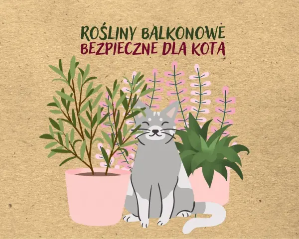 Uśmiechnięty kotek wśród roślin balkonowych bezpiecznych dla kota. Różowe doniczki z zielonymi roślinami i delikatnymi kwiatkami.