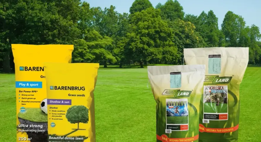 Trawa na suche tereny, idealna na boiska i do ogrodu. Mieszanki Barenbrug i Agro Land zapewnią piękny, gęsty trawnik.