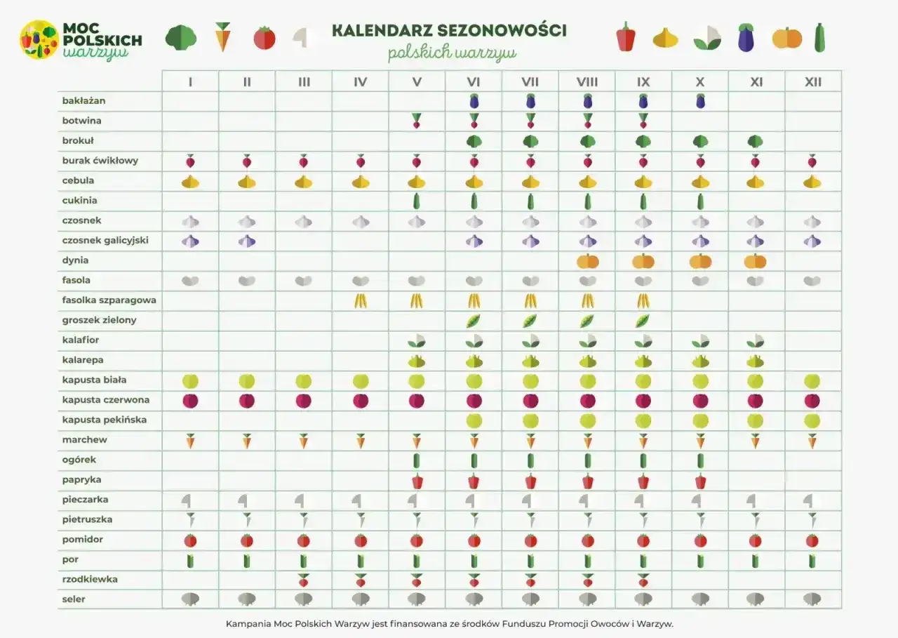 Kalendarz sezonowości polskich warzyw: kiedy siać warzywa i kiedy są dostępne. Tabela pokazuje miesiące od I do XII.