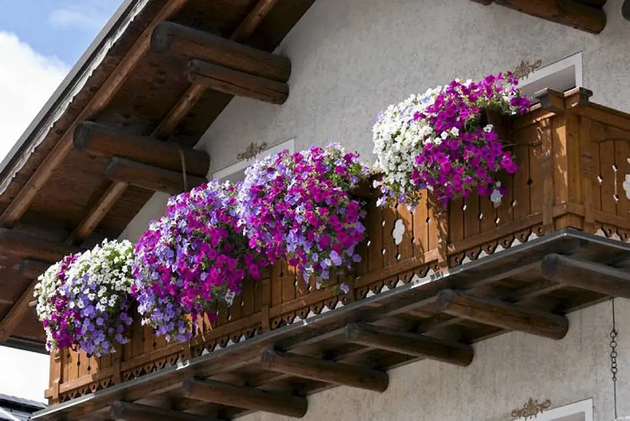Balkon ozdobiony obfitymi, zwisającymi kwiatami balkonowymi w odcieniach bieli, fioletu i różu.
