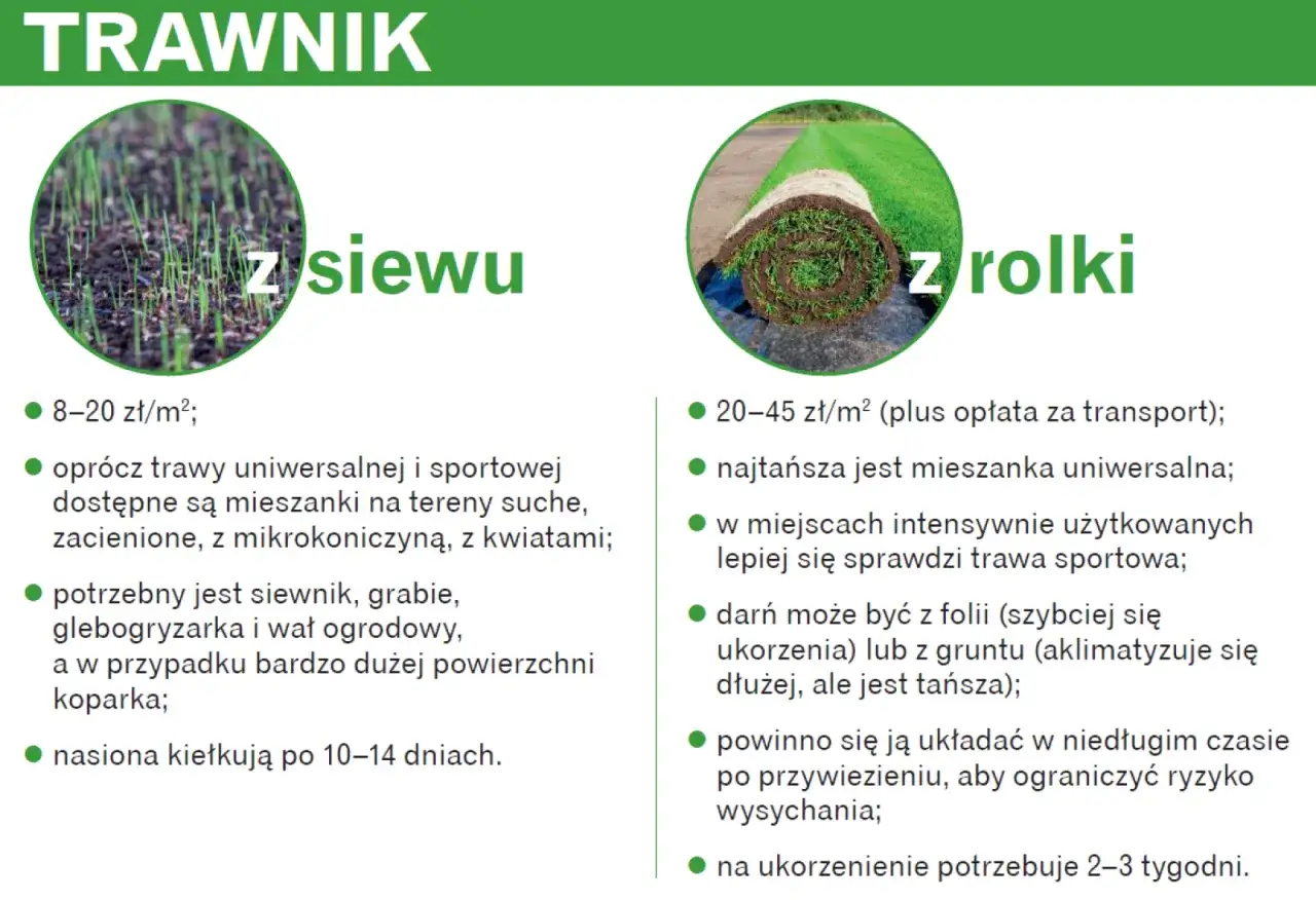 Siew trawy z nasion lub z rolki. Porównanie metod zakładania trawnika, kosztów i wymagań.