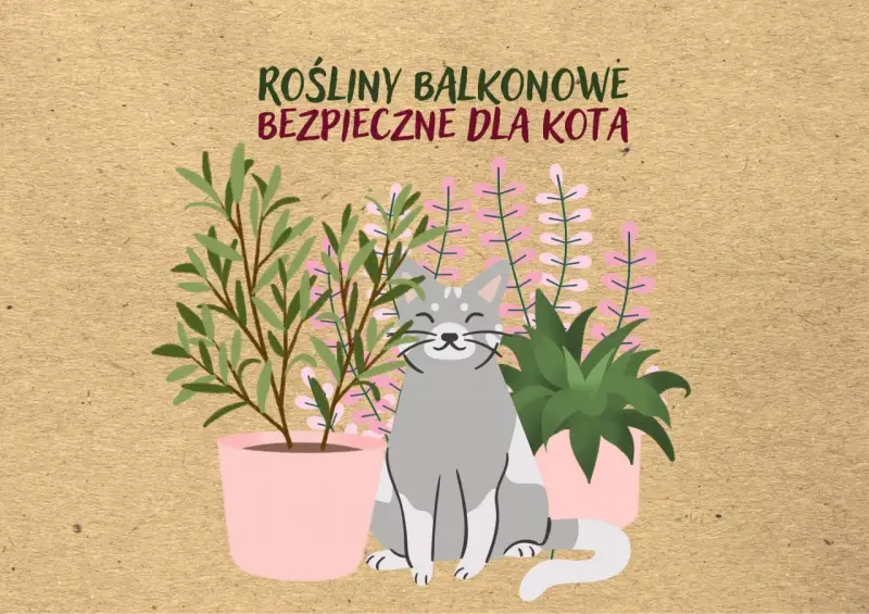 Uśmiechnięty kotek wśród roślin balkonowych bezpiecznych dla kota. Różowe doniczki z zielonymi roślinami i delikatnymi kwiatkami.